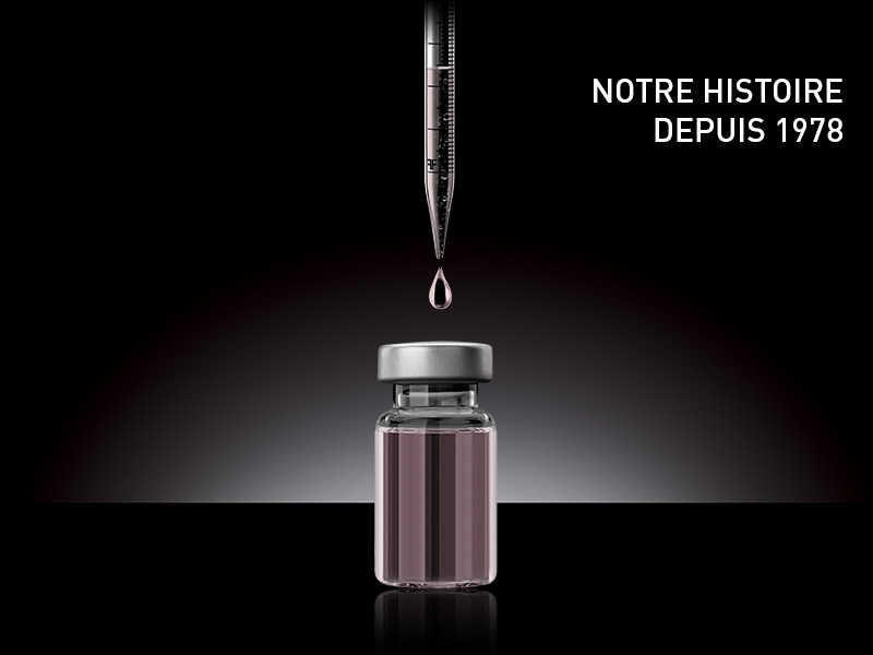 NOTRE HISTOIRE